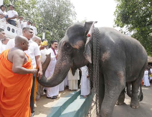 Traditional State Oil Anointing Ceremony 1