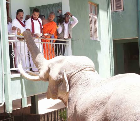 President observes Sithulpawwa Viharaya 3