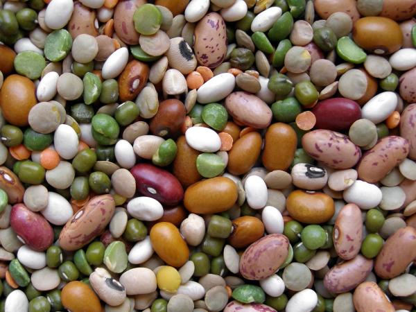 Beans and Legumes