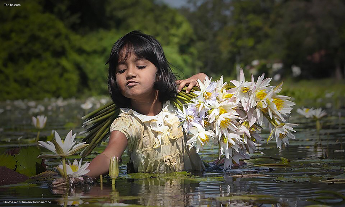 The bossom Photo Credit Kumara Karunarathne