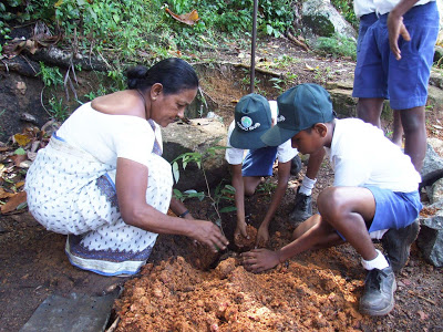 a parisara niyamu