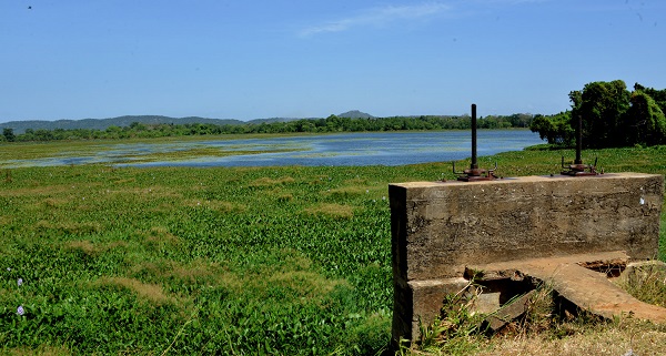 akadawala