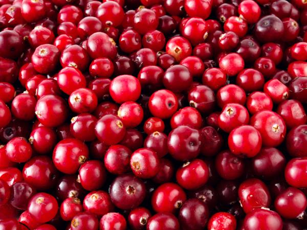 cranberries