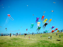 kites 2