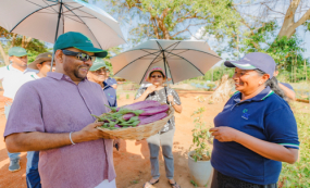 පළමුවරට මෙරටින් බීජ අපනයනයට සූදානම්