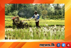 චීන රජයෙන් වී ගොවීන්ට ලබාදුන් ඉන්ධන බෙදා හැරීම අඛණ්ඩව