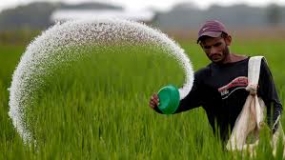 මහ කන්නය සඳහා උතුරු පළාතට අවශ්‍ය පොහොර, වගා කටයුතු ඇරඹීමට පෙර ගබඩා කර තැබීමට පියවර