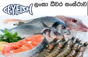 ලංකා ධීවර සංස්ථාව ප්‍රථම වරට සිංහල හා දෙමළ අලුත් අවුරුදු සමයේ වාර්තාගත ආදායමක් උපයයි