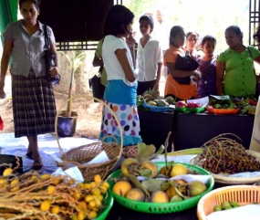 පලතුරු ප්‍රදර්ශනය නැරඹීමට අතිවිශාල ජනතාවක්