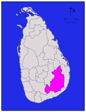 මොණරාගලට ප්‍රජා සේවා රැසක්