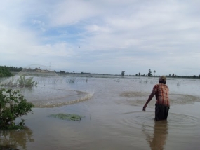 දැදුරු ඔය ජලාශයේ මිරිදිය ධීවර කර්මාන්තය ඇරඹේ