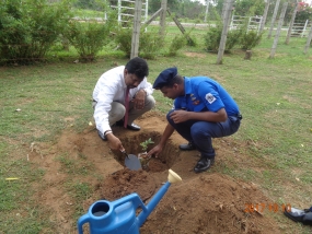 වනරෝපා ජාතික රුක්රෝපණ වැඩසටහන - 2017 පුත්තලම දිස්ත්‍රික්කයේ දායකත්වය