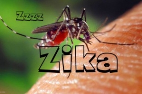 &quot;Zika&quot; වෛරසයෙන් බලපෑමක් නැහැ - සෞඛ්‍ය අමාත්‍ය රාජිත සේනාරත්න