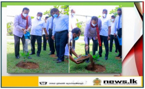 “හරිත දැයක්” ජාතික ගෙවතු වගා සංග්‍රාමයට අගමැති එක්වෙයි