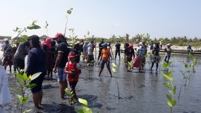 ලෝක තෙත්බිම් දිනය වෙනුවෙන් නාවික හමුදාව කඩෝලාන පැළ 1000ක් සිටුවයි