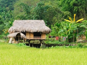 පොකුරු ගම්මාන ව්‍යාපෘතිය ඇරඹේ