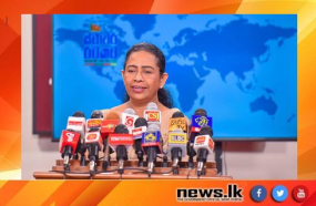 අලි – මිනිස් ගැටුම අවම කර ගැනීම සඳහා නවීන තාක්ෂණය යොදා ගැනීමට සැලසුම්