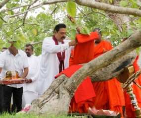 ජනපති ශ්‍රී මහා බෝධීන් වහන්සේගෙන් ආශිර්වාද ලබාගනී