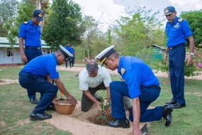 අලුත් අවුරුදු පැළ සිටුවීමේ චාරිත්‍රයට සමගාමිව පැළ සිටුවීමේ වැඩසටහන් රැසක් නාවික හමුදාව සංවිධානය කරයි