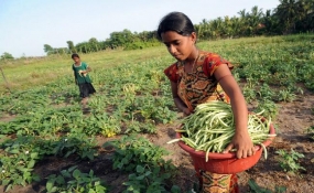 කෘෂි ව්‍යවසායකයින් දැනුවත් කිරීමේ වැඩ සටහනක් ගාල්ලේ දී