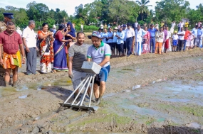 2018 යල කන්නය - වසවිසෙන් තොර කාබනික වී වගාව ඇරඹේ