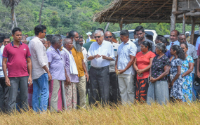 ජයගත යුතු අභියෝග රැසක් පැවතියත් ගොවි ජනතාවගේ ගැටළු විසඳීමට ප්‍රමුඛත්වය ලබා දෙනවා  – ජනපති