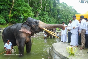 දළඳා මාලිඟාවට නව ඇත් ජල තටාකාංගණයක් හා බහුකාර්ය ගොඩනැගිලි සංකීරණයක්