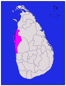 පුත්තලම සංවර්ධනයට ආර්ථික සංවර්ධන අමාත්‍යංශයෙන් මිලියන 6984ක්