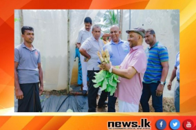 දැවැන්ත නියගයක් හා ආහාර හිඟයක් සම්බන්ධව මුළු ලෝකයම අනතුරු අඟවා තිබෙනවා- ගෙවතු වගා වැඩසටහන් මගින් ආහාර අර්බුදයට මුහුණ දිය හැකියි