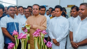 වගා නොකරන පෞද්ගලික ඉඩම් සඳහා නව නීතිරීති  - ජනපති