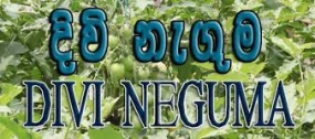 “දා බිදු මුතු“ දිවි නැගුම වෙළද ප්‍රදර්ශනය 02 දා තිහගොඩ දී