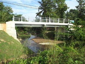 පාලම් 175ක් ඉදිකිරීමේ කොන්ත්‍රාත්තුව බ්‍රිතාන්‍ය සමාගමකට