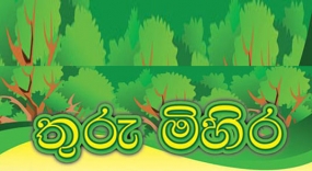 “තුරුමිහිර” කුඹුක් පැළ ලක්ෂයක් සිටුවීමේ සත්කාරය