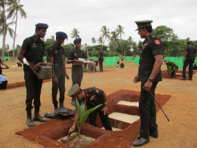 වෙරළ සංරක්‍ෂණය සඳහා පොල් පැළ රෝපණය කෙරේ