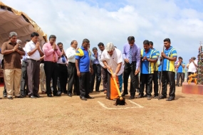 ලොව උසම නත්තල් ගසේ ඉදි කිරීම් ඇරඹේ