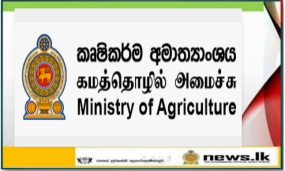 එළ ගවයන්,මී ගවයන් සහ එළුවන් මියයෑමට හේතුව අධික සීතල හේතුවෙන් ඇති වූ කම්පනයයි