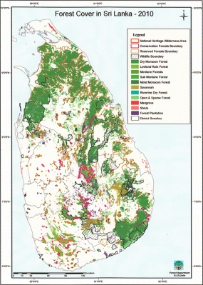 වනාන්තර රැක බලාගැනීමට ජනතා සහභාගිත්වය