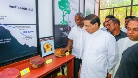 කඩොලාන කෞතුකාගාරයක් විවෘත කෙරේ