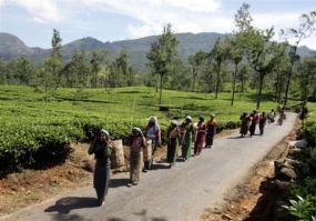 වතු ආශ්‍රිතව දිවි ගෙවන දූදරුවන්ගේ දෙමව්පියන් දැනුවත් කිරීමේ වැඩසටහනක්