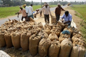 මිනිපේ වී මිලදී ගත් ආකාරය ගැන ඉතා සතුටු වෙනවා