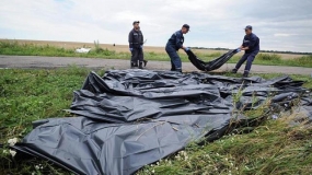 MH 17 යානයේ ගමන් ගත් මගීන්ගේ මළසිරුරු 219ක් සොයා ගනී