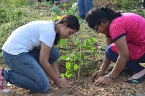 &quot;2014 දැයට සෙවණ ජාතික රුක්රෝපණ  වැඩසටහනට&quot; සමගාමීව නුවරඑළියේ විශේෂ වැඩසටහන්