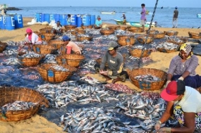 උතුරේත් දකුණේත් ජනතාව අතර සහජීවනය ගොඩනැගීමට ධීවර ක්ෂේත්‍රය පාලමක් කර ගන්නවා- ධීවර රාජ්‍ය අමාත්‍ය