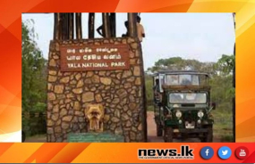 යාල ජාතික වනෝද්‍යානය නැරඹීමට එන විදේශීය සංචාරකයින්ට ජනවාරි මාස සිට ඩොලර් ගෙවා ප්‍රවේශපත් ලබා ගැනීමේ පහසුකම්