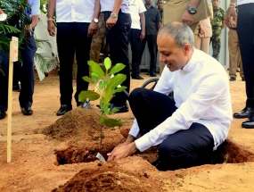 පැල සිටුවීමට පොලීසියත් එක්වෙයි