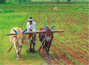 මෙවර ගොවි සතිය සහ කෘෂිකාර්මික ප‍්‍රදර්ශනයෙන් හැම ගොවියෙකුටම ප්‍රතිලාභ