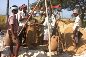 පොලොන්නරුව වී මිලදී ගැනීමට ක්‍රමවේදයක් සැකසේ