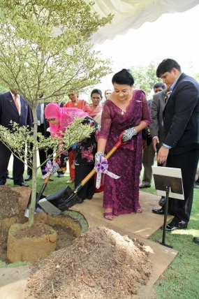 ජනපති ආර්යාව ක්වාලාලම්පූර් උද්භිත උද්‍යානයේ පැළයක් රෝපණය කරයි