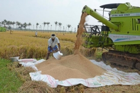 සුනාමි කොළ පැගීම යන්ත්‍රය මගින් පාරිසරික ගැටළු රැසක්