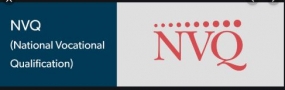 වෘත්තීය සුදුසුකම් ලැබූ තරුණ තරුණියන් 385603 කට ජාතික වෘත්තීය සුදුසුකම් (NVQ) සහතික